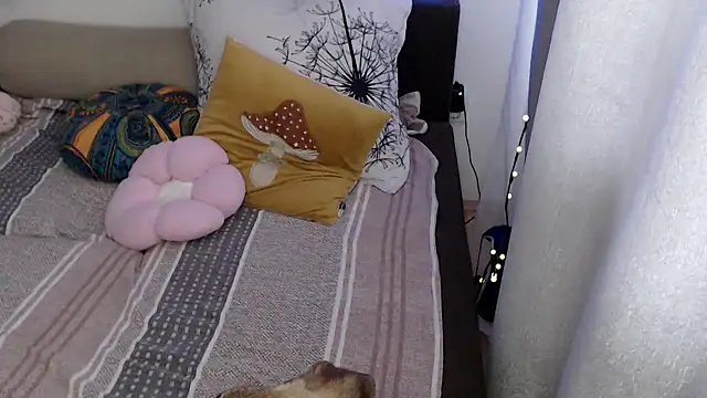 AlienforTwenty online show from April 15, 2026, 11:38 am