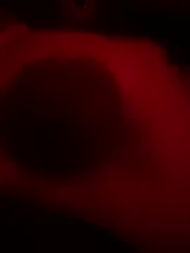 DaveeeIsTheone online show from February 15, 2026, 8:02 am