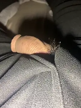 Snapshot of lion_kun chatting on December 17, 2025, 10:20 am lion kun online show from December 17, 2025, 10:20 am