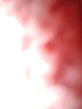 aman4404 online show from February 11, 2026, 2:44 am