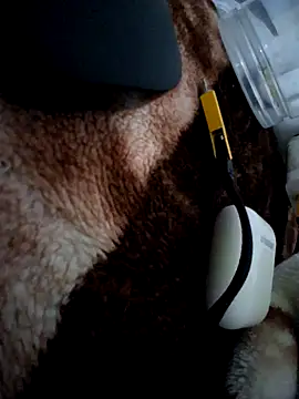 aman4404 online show from January 31, 2026, 8:40 pm