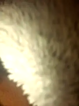 Snapshot of micaela691 chatting on December 16, 2025, 9:08 pm micaela691 online show from December 16, 2025, 9:08 pm