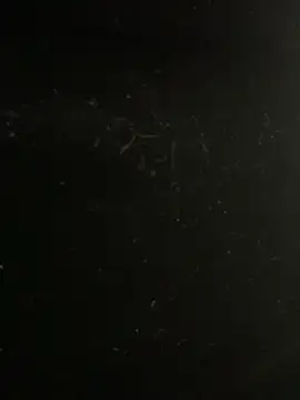 mengmeng776 online show from February 10, 2026, 4:17 pm