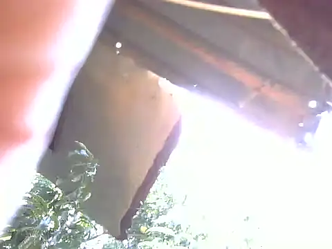 LadyPanda online show from February 3, 2026, 11:04 am