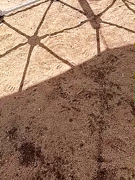 LaicyBrown76 online show from March 7, 2026, 8:32 am