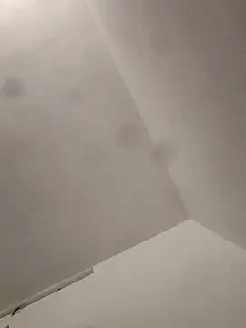 Snapshot of rahul8827 chatting on February 8, 2026, 11:30 am rahul8827 online show from February 8, 2026, 11:30 am