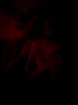 Premraj radherani online show from January 6, 2026, 6:34 pm