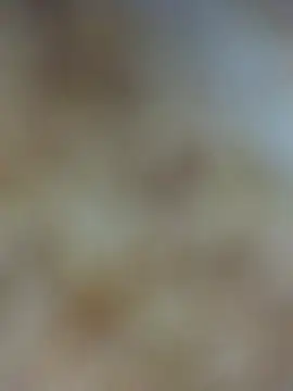 Bandna thakur online show from February 14, 2026, 10:10 pm