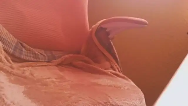 Michaelo666 online show from February 11, 2026, 11:21 am