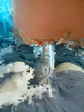 Snapshot of jhonysinc21 chatting on May 1, 2026, 10:20 am jhonysinc21 online show from May 1, 2026, 10:20 am