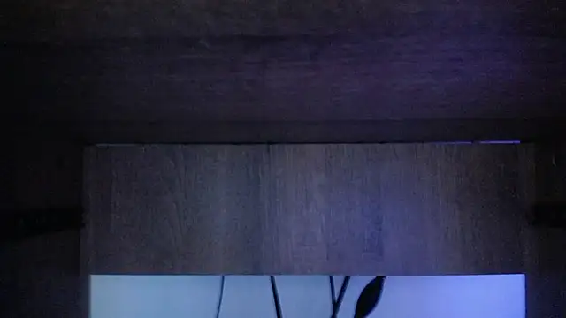 Candy Melisaa online show from December 20, 2025, 12:46 am