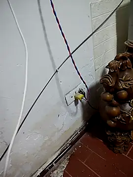 Snapshot of thobaby99 chatting on January 9, 2026, 7:48 am thobaby99 online show from January 9, 2026, 7:48 am