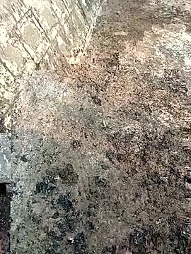 Tamilpaiyan07 online show from March 8, 2026, 2:04 am