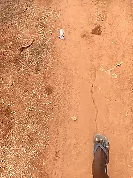 Tamilpaiyan07 online show from February 16, 2026, 6:01 am