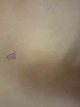 Snapshot of yourburget chatting on February 19, 2026, 2:25 pm yourburget online show from February 19, 2026, 2:25 pm