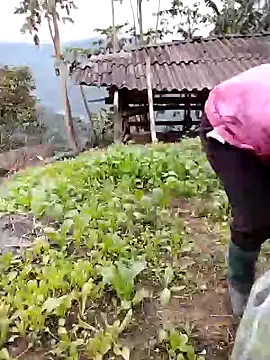 galaxy898 online show from February 2, 2026, 9:41 am