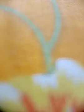 Hooghlypinkivabi online show from February 20, 2026, 2:30 pm