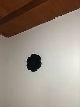 seth c online show from March 21, 2026, 6:12 pm