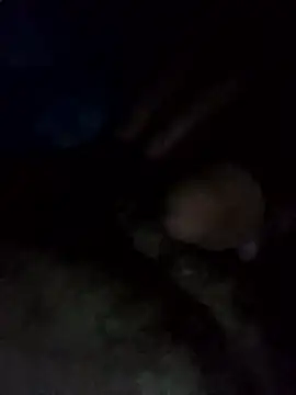 Snapshot of EchoedPerusing chatting on January 11, 2026, 11:44 pm EchoedPerusing online show from January 11, 2026, 11:44 pm