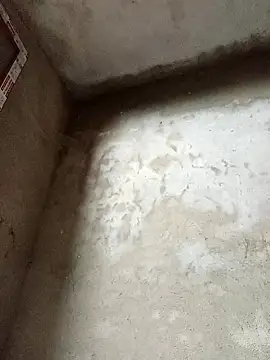 dakota-kis online show from February 14, 2026, 11:49 pm