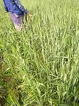 hornycouple20000 online show from February 1, 2026, 6:44 am