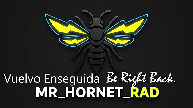 Snapshot of s_hornet chatting on May 4, 2026, 1:14 pm s hornet online show from May 4, 2026, 1:14 pm