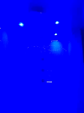 HORSELEG45 online show from February 1, 2026, 3:49 am