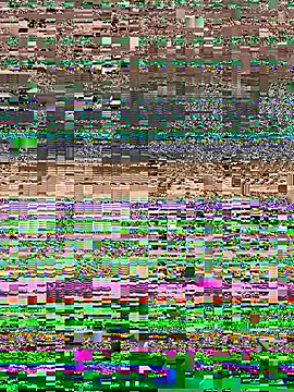 Some-03 online show from February 18, 2026, 1:40 pm