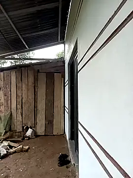 xiaogoal online show from March 24, 2026, 2:44 am