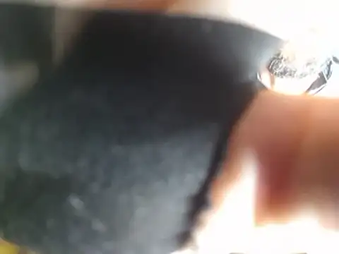 soniccheeseburger online show from January 14, 2026, 8:18 am