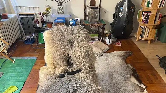 Snapshot of chiloschista chatting on April 6, 2026, 6:09 pm chiloschista online show from April 6, 2026, 6:09 pm