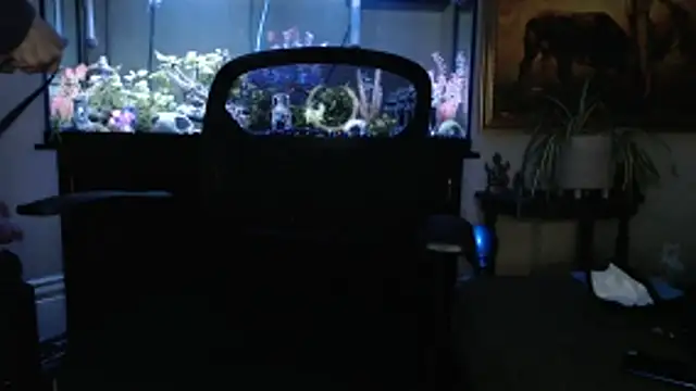 EspanolVato online show from March 5, 2026, 11:43 pm