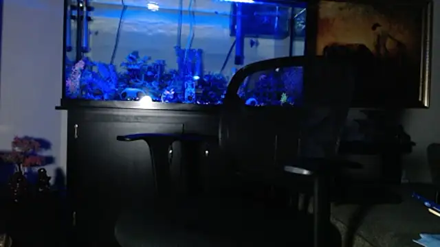 EspanolVato online show from January 8, 2026, 12:55 pm