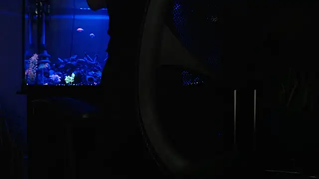 EspanolVato online show from April 18, 2026, 9:22 am