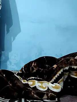 Sonali-6 online show from February 11, 2026, 10:59 am