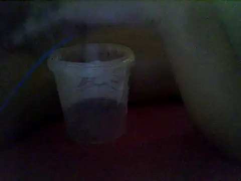 MorenaJapinha online show from January 14, 2026, 11:58 am