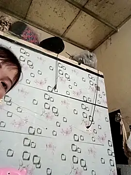 Sana-vn online show from April 18, 2026, 1:57 pm