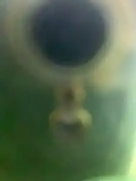 Wassimdz410 online show from April 21, 2026, 8:48 pm