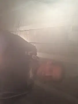 polo48725 online show from April 15, 2026, 6:56 pm