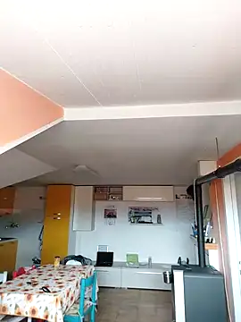 colosone online show from March 1, 2025, 11:06 am