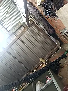 cielo420 online show from January 7, 2026, 4:12 pm