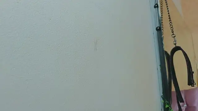 Missy 22  online show from April 18, 2026, 1:24 pm