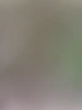 wy2026 online show from April 3, 2026, 12:06 am