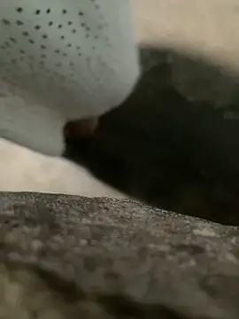 Ginny 2x online show from March 7, 2026, 9:31 pm