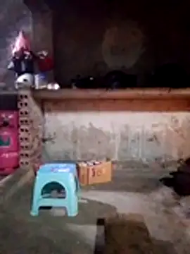 cdyyds-69 online show from January 15, 2026, 11:08 pm