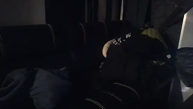 biswingcruiser online show from March 29, 2026, 9:55 am