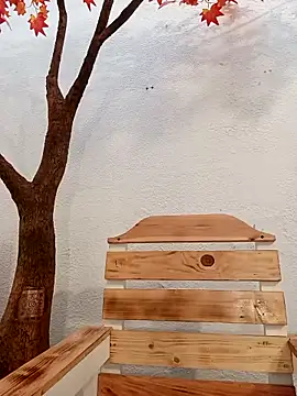 Dante Knox online show from February 19, 2026, 11:29 am