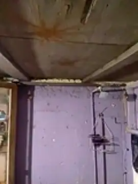 Guanatos13 online show from February 2, 2026, 5:17 am