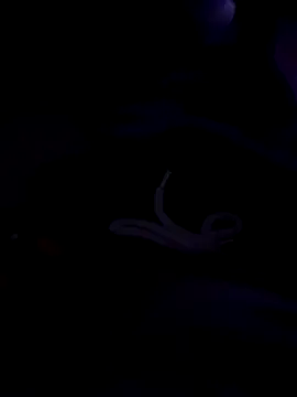 80julien online show from February 13, 2026, 2:28 pm