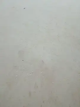 Lyly-68688 online show from April 15, 2026, 1:00 am